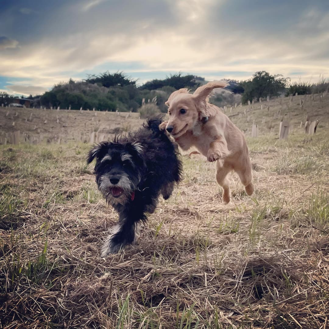 Gallery : 2021-07-12 10.44.48.jpg