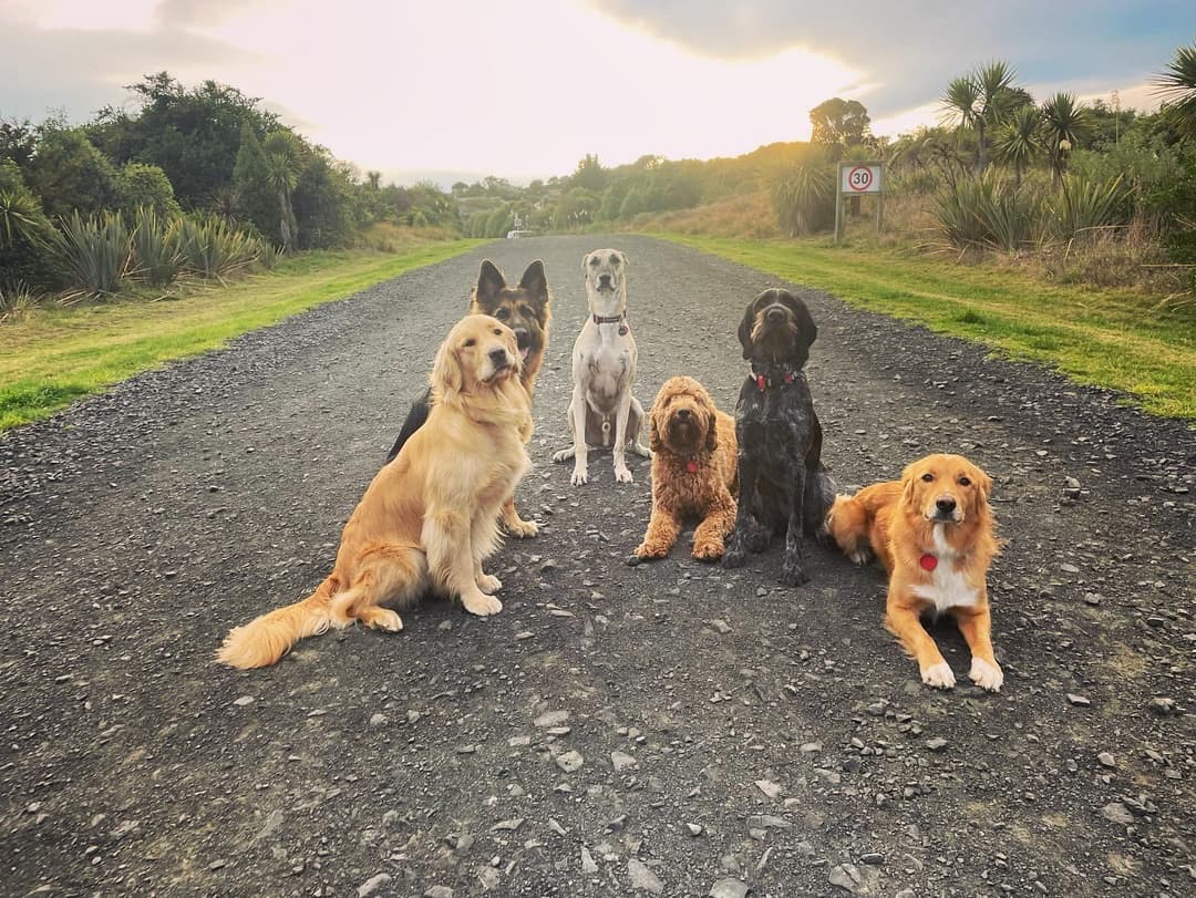 Gallery : 2022-05-31 17.22.10.jpg